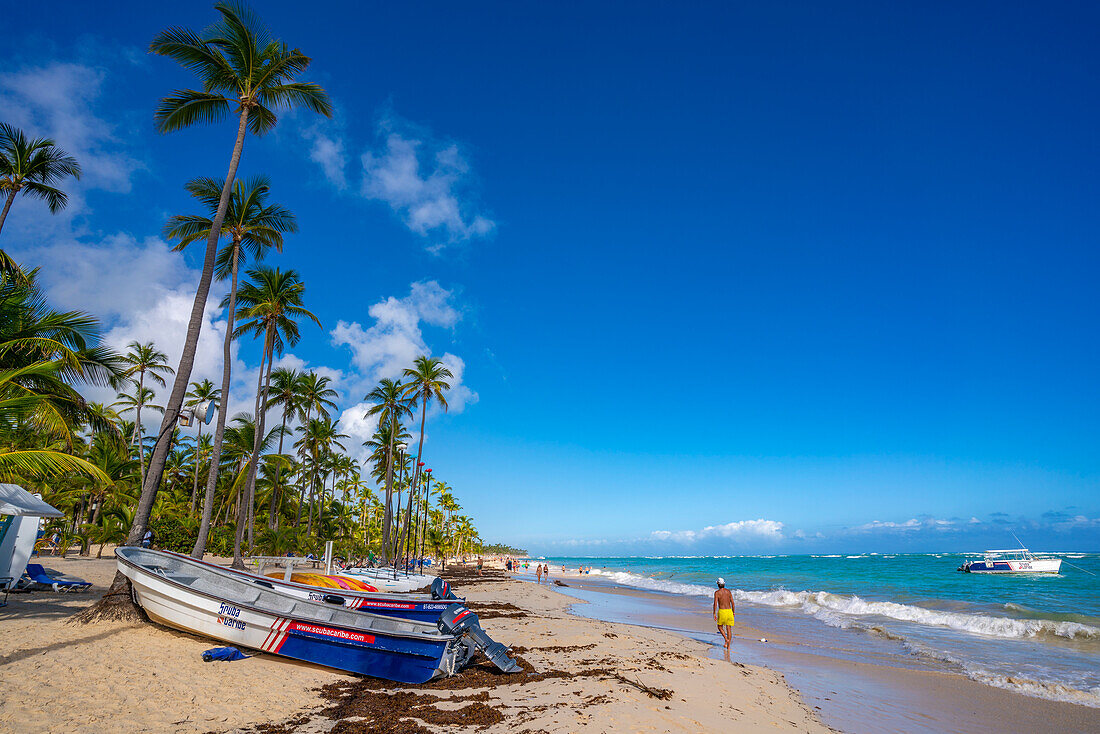 Blick auf Meer, Strand und Palmen an einem sonnigen Tag, Bavaro Beach, Punta Cana, Dominikanische Republik, Westindische Inseln, Karibik, Mittelamerika