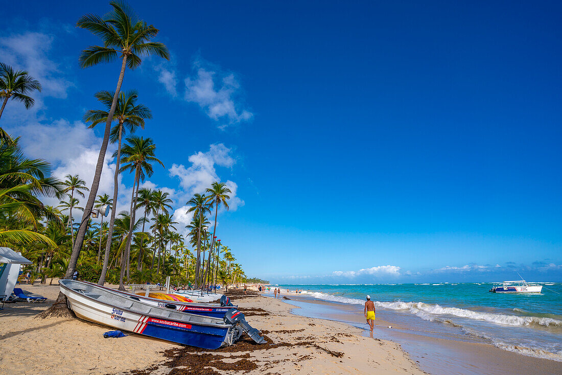 View of sea, beach and palm trees on a sunny day, Bavaro Beach, Punta Cana, Dominican Republic, West Indies, Caribbean, Central America