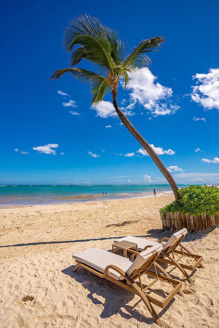 Blick auf Sonnenliegen und eine einzelne Palme am Bavaro Beach, Punta Cana, Dominikanische Republik, Westindische Inseln, Karibik, Mittelamerika