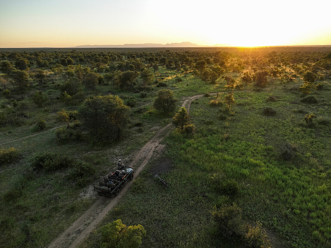 Sunset over Safari drive in Timbavati Private Nature Reserve, Kruger National Park, South Africa, Africa