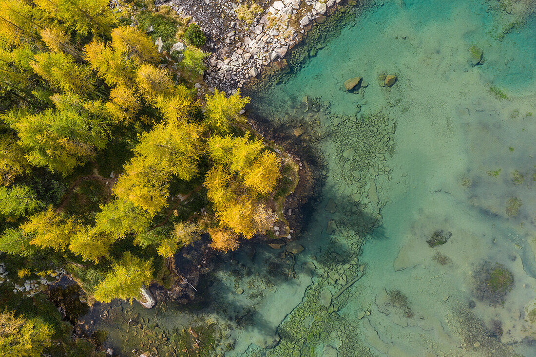 Luftaufnahme des Sees Acque Sparse in der Herbstzeit, Eita, Val Grosina, Valtellina, Provinz Sondrio, Lombardei, Italien, Europa