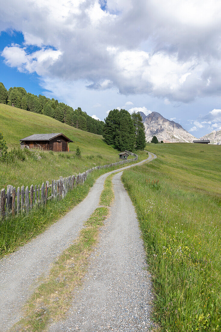Typical chalet near the Passo delle Erbe road, in the background the Sass de Putia (Peitlerkofel), Dolomites