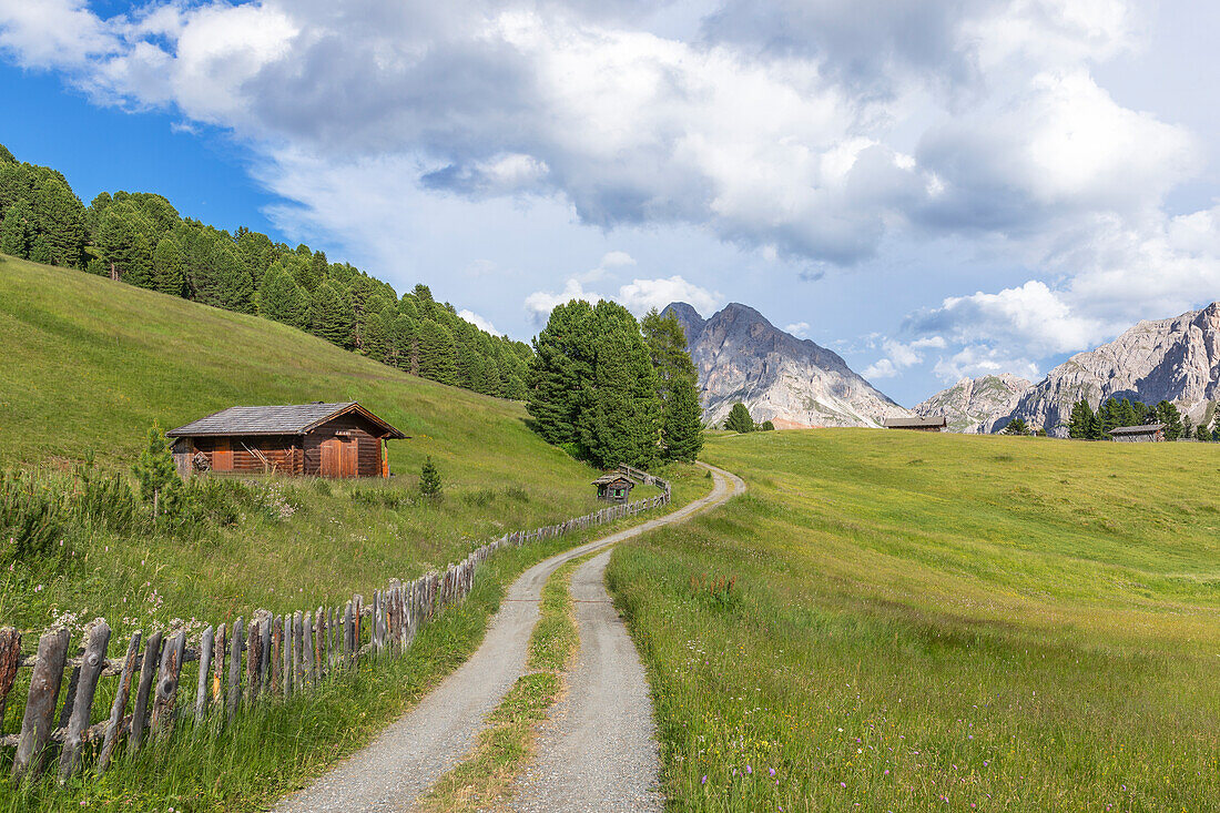 Typical chalet near the Passo delle Erbe road, in the background the Sass de Putia (Peitlerkofel), Dolomites