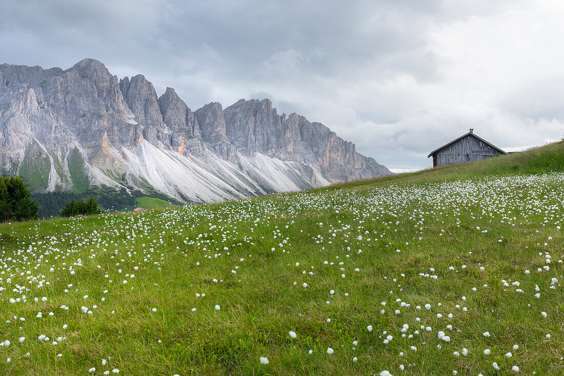 Typische Hütte am Passo delle Erbe, mit der Geislerspitze im Hintergrund, Dolomiten, Europa, Italien, Südtirol, Bozen