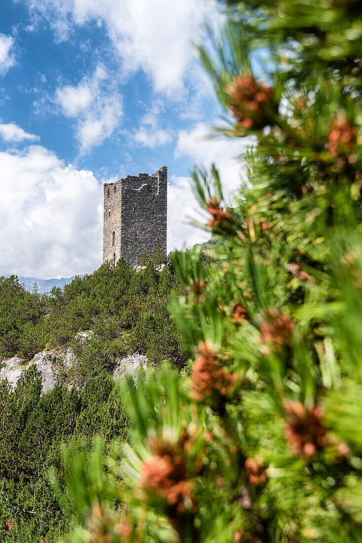 Der Turm von Fraele, Valdidentro, Provinz Sondrio, Valtellina, Lombardei, Italien, Europa