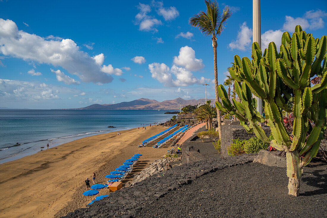 View overlooking Playa Grande beach and Atlantic Ocean, Puerto del Carmen, Lanzarote, Las Palmas, Canary Islands, Spain, Atlantic, Europe