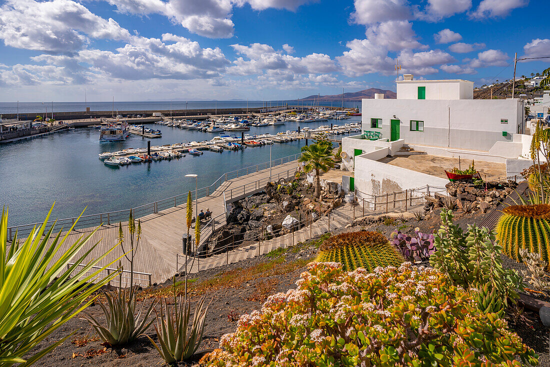 Blick auf den Hafen von erhöhter Position, Puerto del Carmen, Lanzarote, Las Palmas, Kanarische Inseln, Spanien, Atlantik, Europa