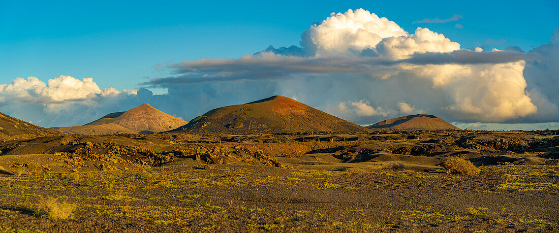 View of volcanic landscape in Timanfaya National Park at sunset, Lanzarote, Las Palmas, Canary Islands, Spain, Atlantic, Europe