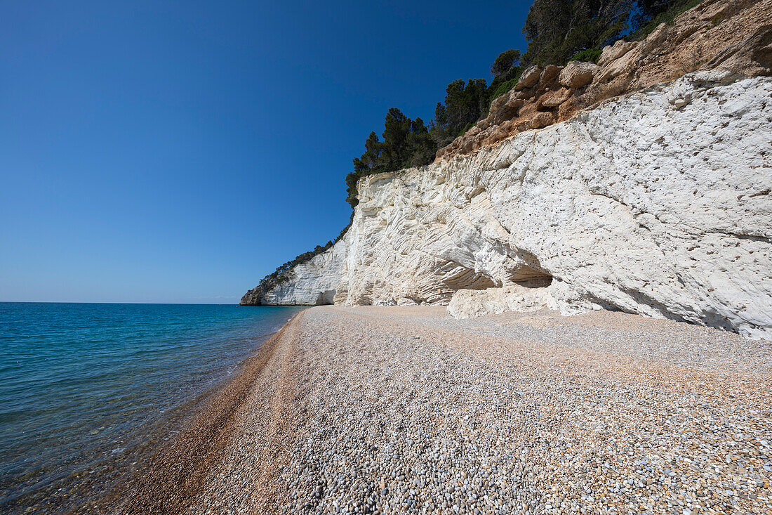 Kieselstrand Spiaggia di Vignanotica unter einem weißen Felsen, Mattinata, Gargano-Vorgebirge, Apulien, Italien, Europa