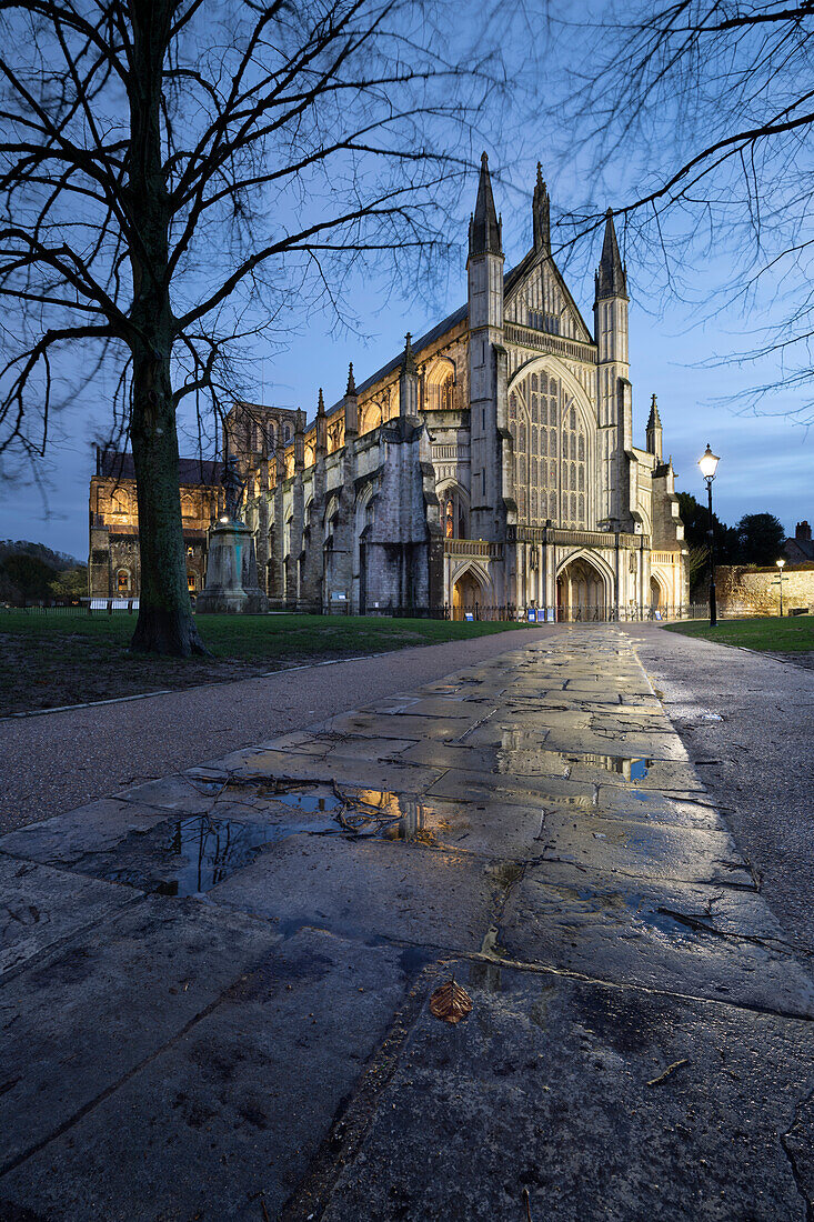 Winchester Cathedral floodlit at night in winter with reflections on wet pavement in foreground, Winchester, Hampshire, England, United Kingdom, Europe
