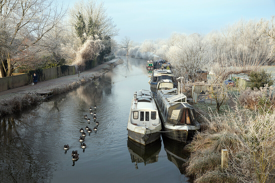 Narrowboats on the Kennet and Avon Canal by Northcroft Park on a frosty winter morning, Newbury, Berkshire, England, United Kingdom, Europe