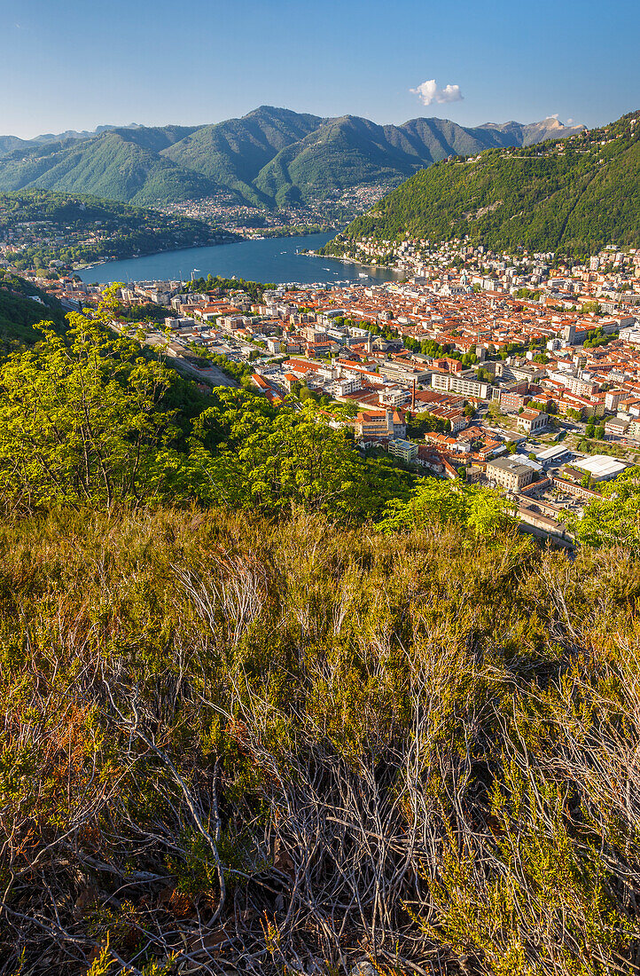 A view of Como city and lake Como from Spina Verde, Lombardy, Italy, Europe