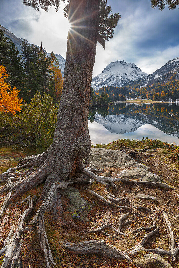 Herbstlicher Blick auf den Cavloc-See, Forno-Tal, Bergell-Tal, Bezirk Maloja, Engadin, Kanton Graubünden, Schweiz, Europa