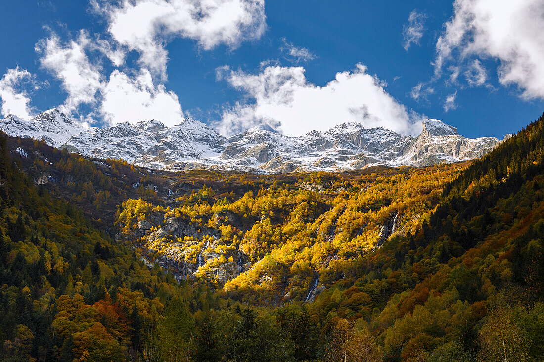 Autumnal view on the mountains of Val Masino from Bagni di Masino, Sondrio province, Valtellina, Lombardy, Italy, Europe