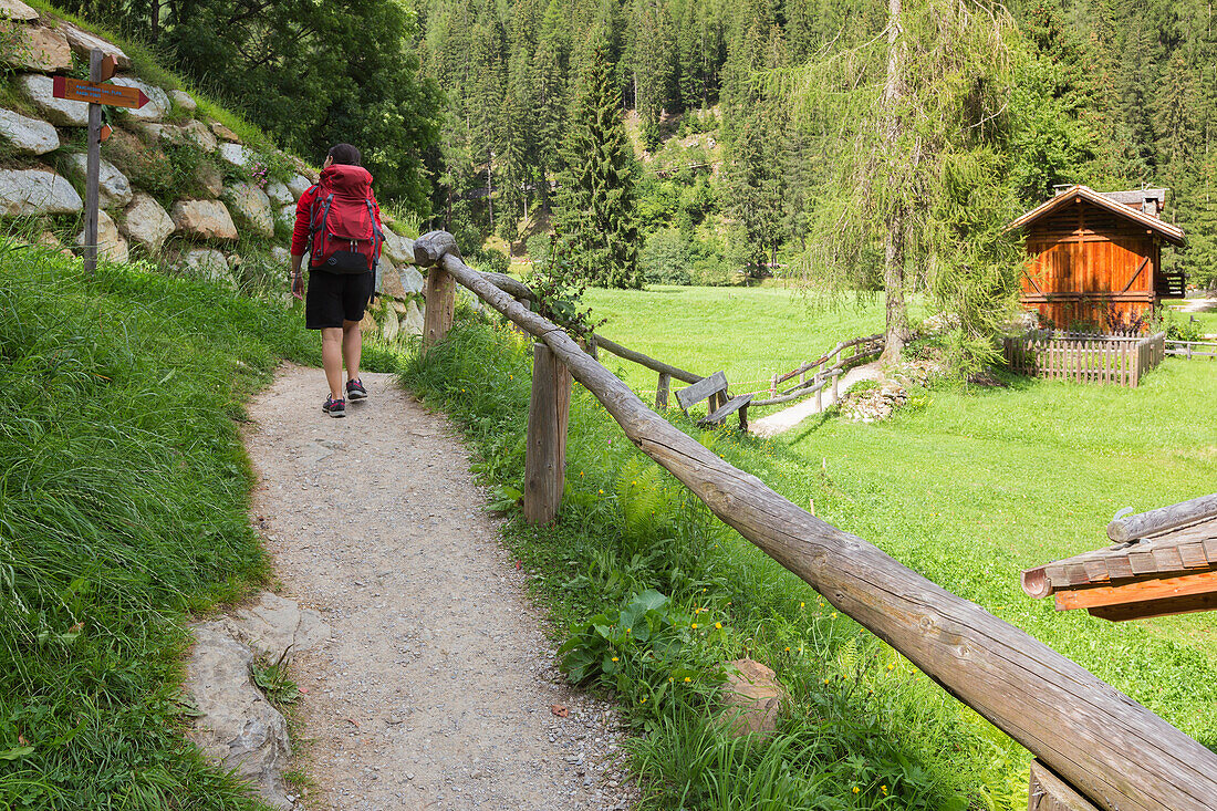 Hiker walk on the path to reach Bagni di Rabbi, Rabbi valley (val di Rabbi), Trento province, Trentino-Alto Adige, Italy, Europe (MR)