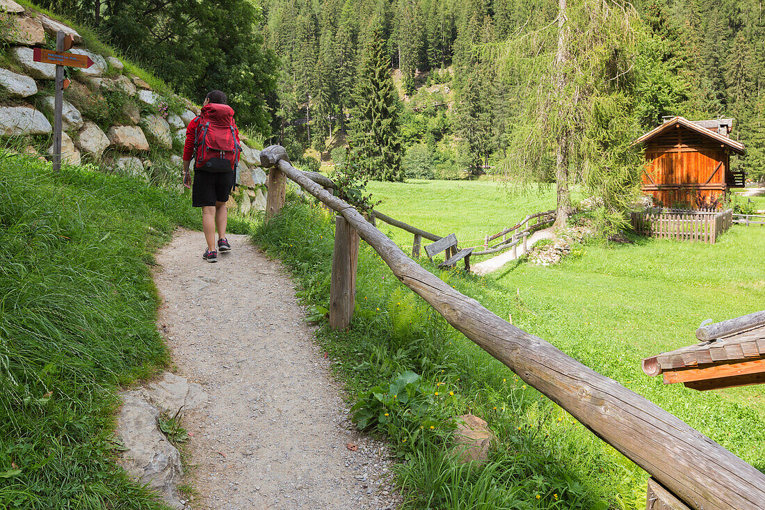 Wanderer auf dem Weg zu den Bagni di Rabbi, Rabbital (val di Rabbi), Provinz Trient, Trentino-Südtirol, Italien, Europa (MR)