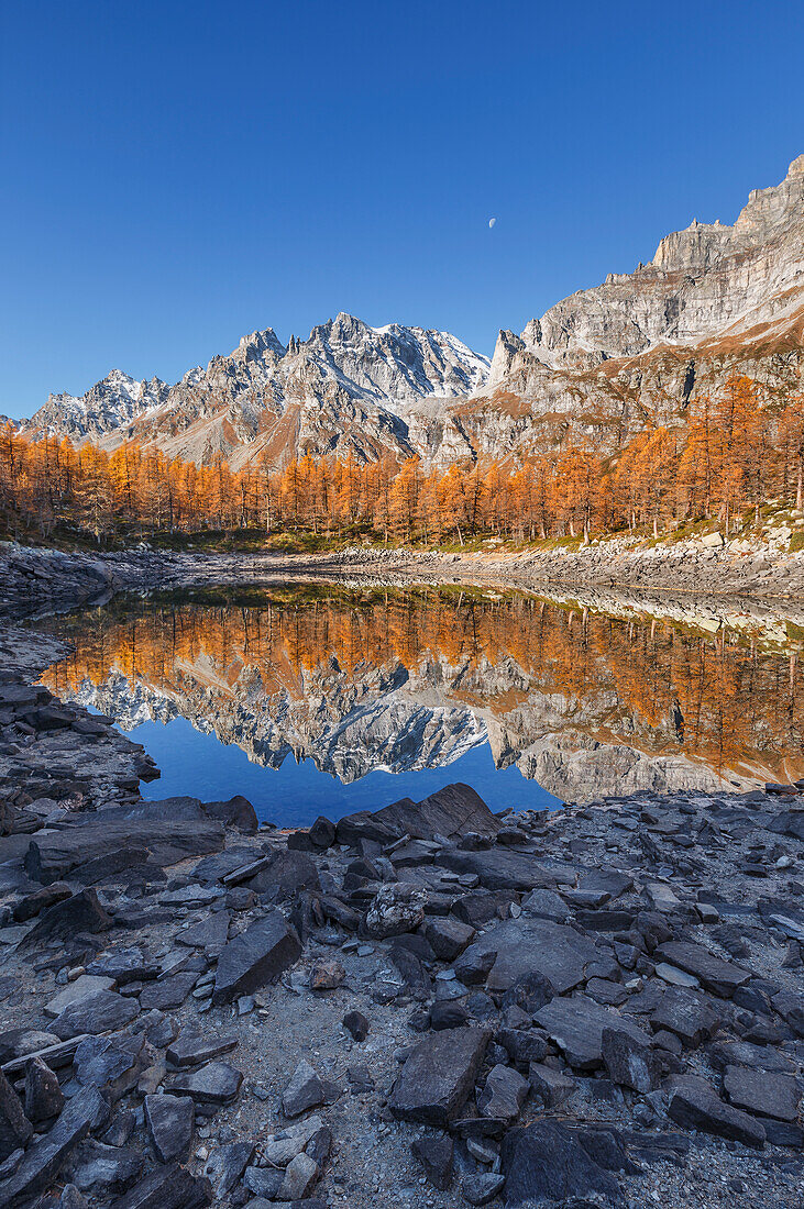 Herbstliche Reflexionen auf dem Nero-See (lago Nero), Naturpark Alpe Devero, Baceno, Alpe Veglia und Alpe Devero, Provinz Verbano-Cusio-Ossola, Piemont, Italien, Europa