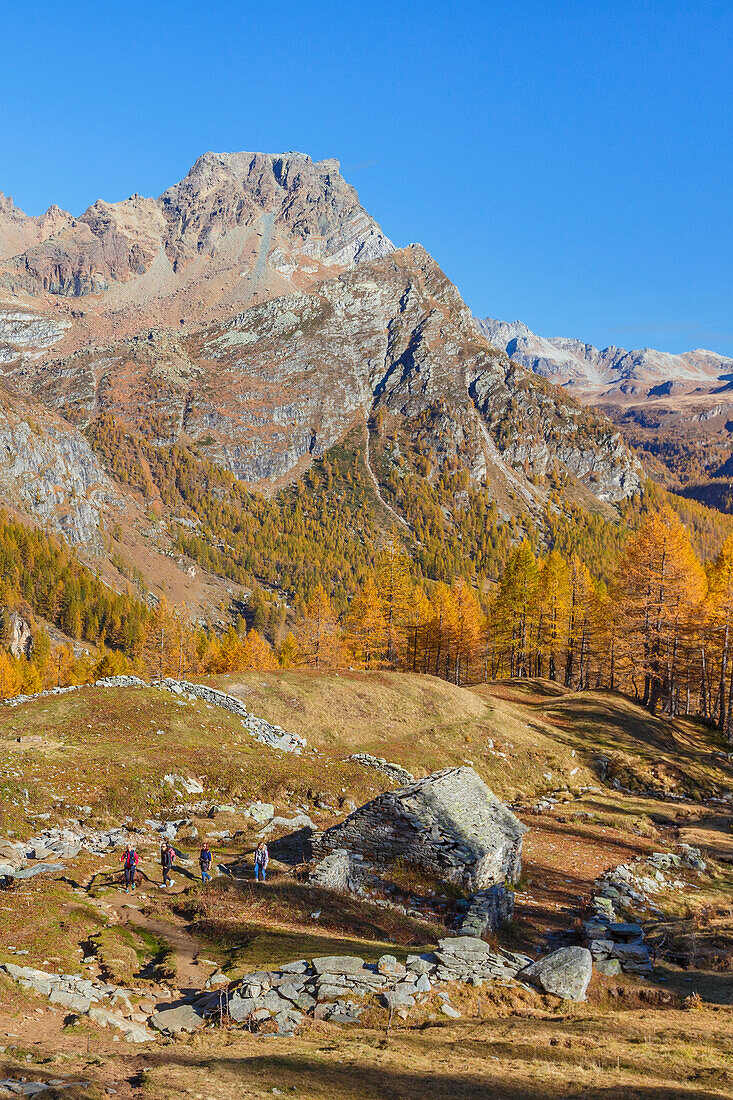 Wanderer auf dem Pfad der Alpe Misanco im Herbst, Naturpark Alpe Devero, Baceno, Alpe Veglia und Alpe Devero, Provinz Verbano-Cusio-Ossola, Piemont, Italien, Europa