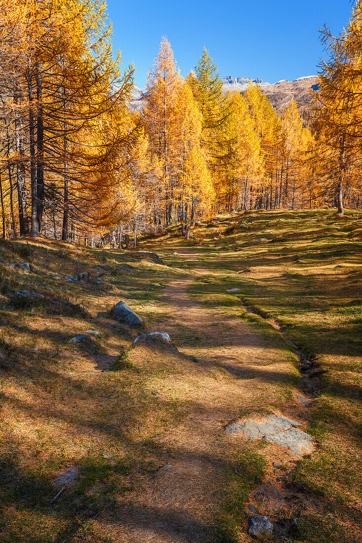 Herbstliche Landschaft auf dem Weg des Nero lare (Nerosee), Naturpark Alpe Devero, Baceno, Alpe Veglia und Alpe Devero, Provinz Verbano-Cusio-Ossola, Piemont, Italien, Europa