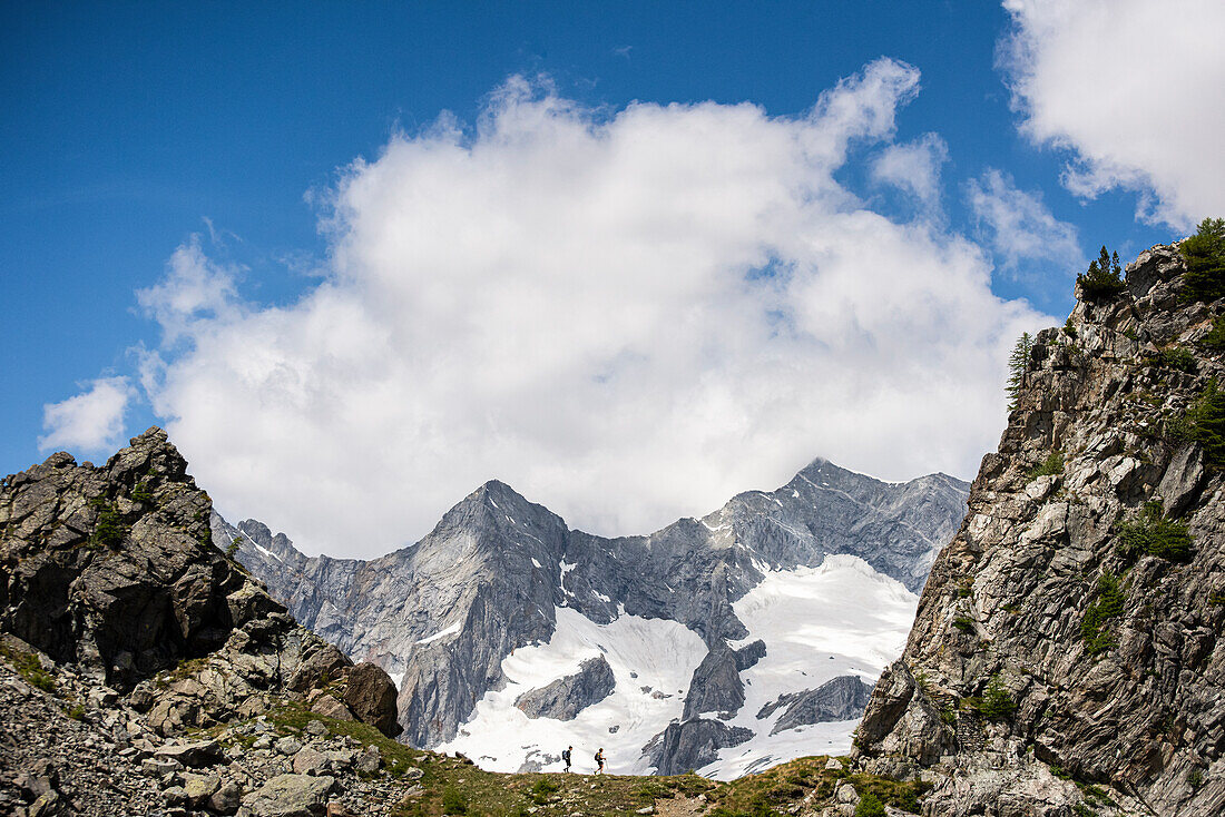 Women walking on the crest and in background the glacier, Chiareggio, Sondrio Province, Valtelllina, Lombardy, Italy, Europe