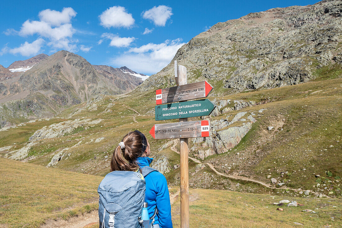 A girl reads an informative sign at Gavia Valley, Valtellina, Sondrio Province, Lombardy, Italy, Europe