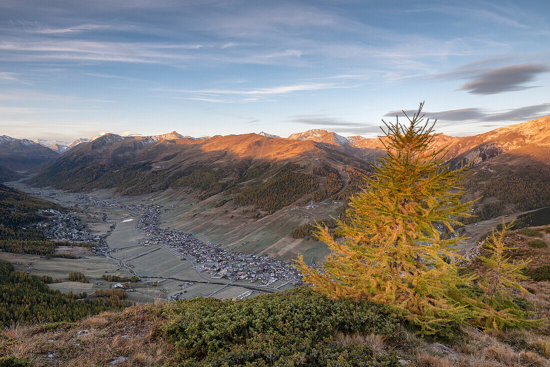 Livigno vom Crap de La Pare aus gesehen im Herbst, Valtellina, Provinz Sondrio, Lombardei, Italien