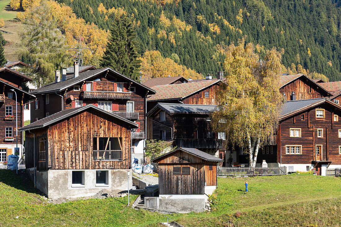 Typical houses of Swiss Alps during autumn, Tujetsch, Canton of Graubunden, Europe
