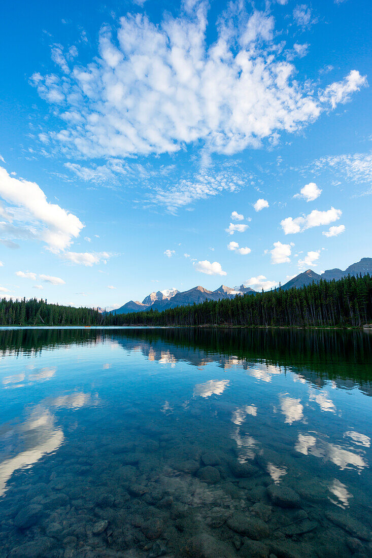 Spiegelungen am Herbert Lake, Icefield parkway, Lake Louise, Banff national park, Alberta, Kanada