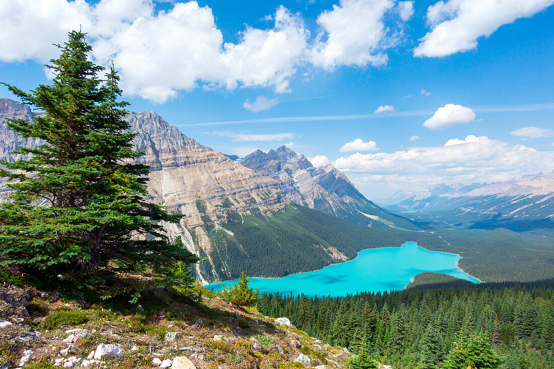 Peyto Lake, Icefield parkway, Banff national park, Alberta, Canada