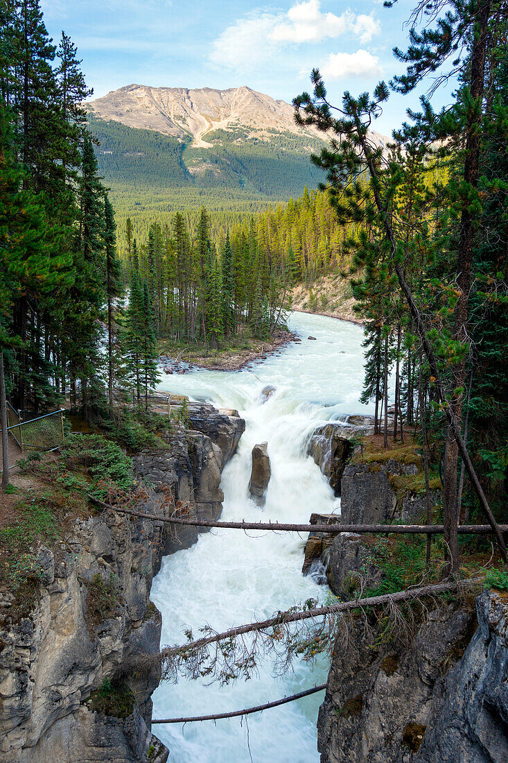 Sunwapta Fall, Jasper National Park, Jasper, Alberta, Canada