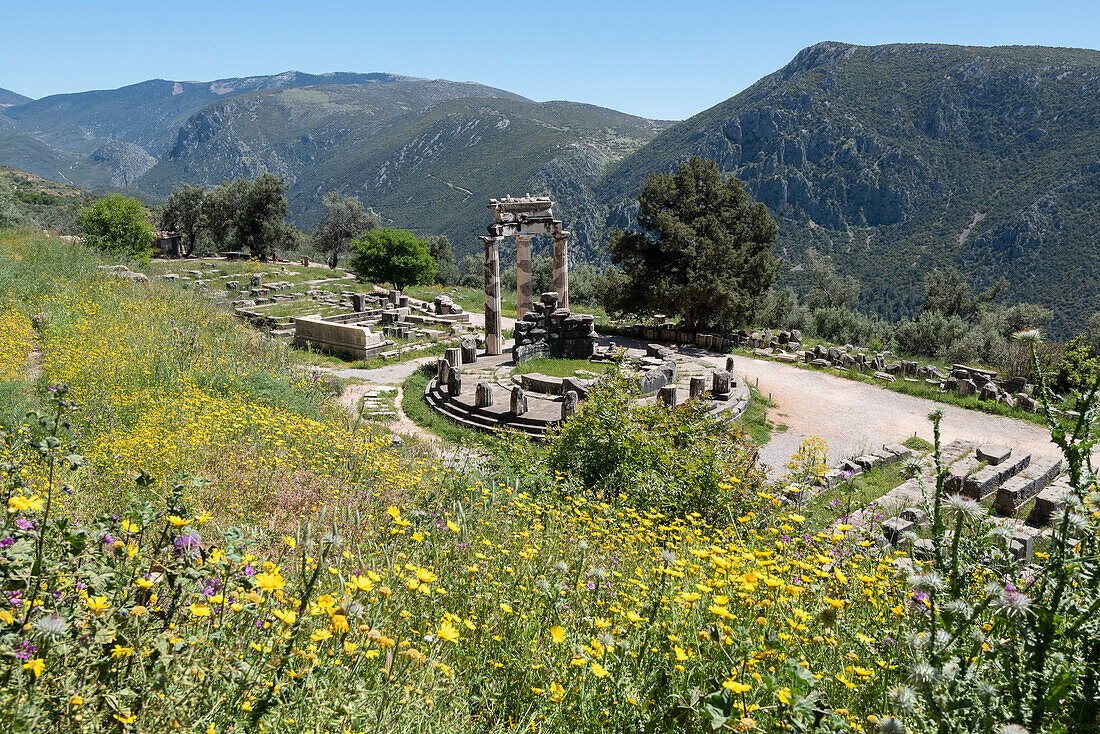 The Delphic Tholos in the archeological site of Delphi, Phocis, Greece