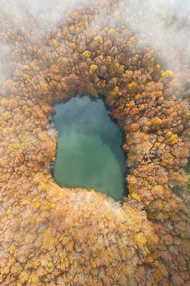 an aerial drone view of the lake area of Cerreto Laghi, during the autumn foliage, Tuscan-Emilian apennine national park, municipality of Ventasso, Reggio Emilia province, Emilia Romagna district, Italy, Europe