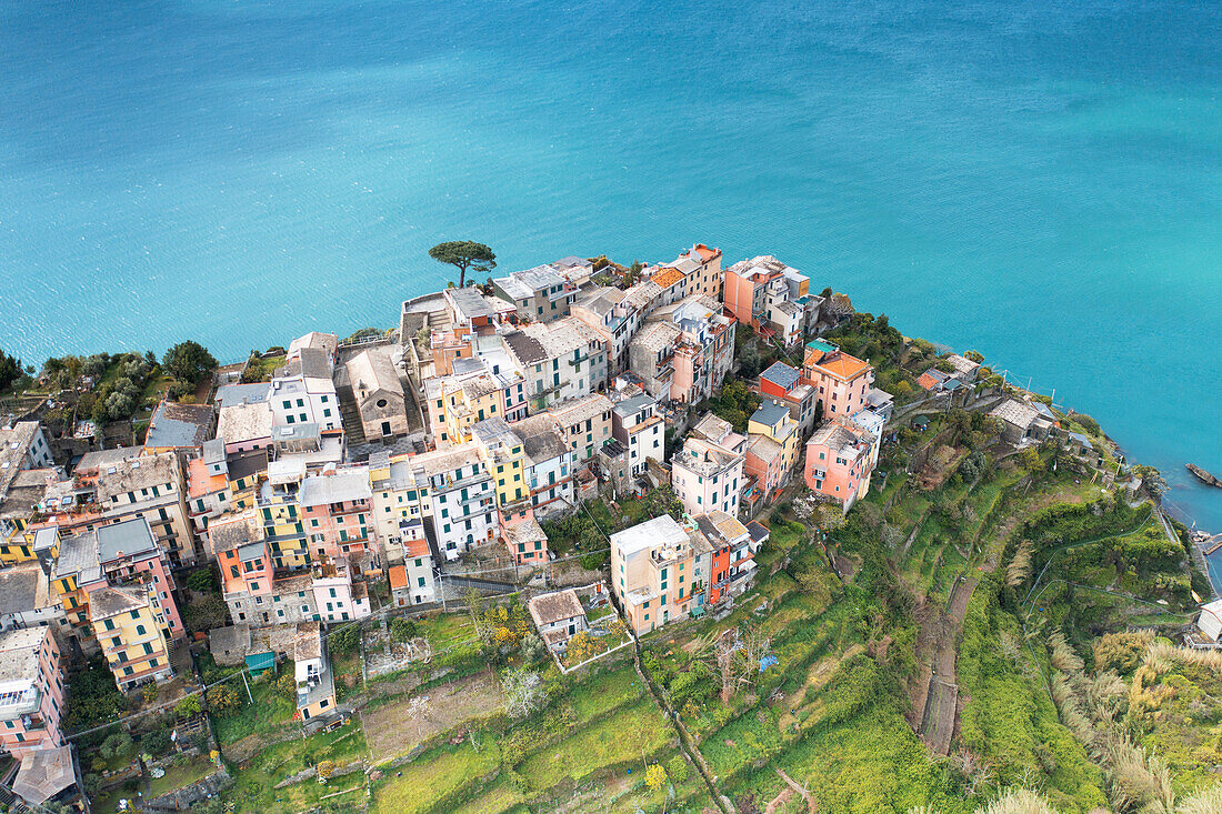 Luftaufnahme mit einer Drohne im Frühling, des historischen Dorfes Corniglia, Gemeinde Vernazza, UNESCO-Weltkulturerbe, Nationalpark Cinque Terre, Provinz La Spezia, Region Ligurien, Italien, Europa