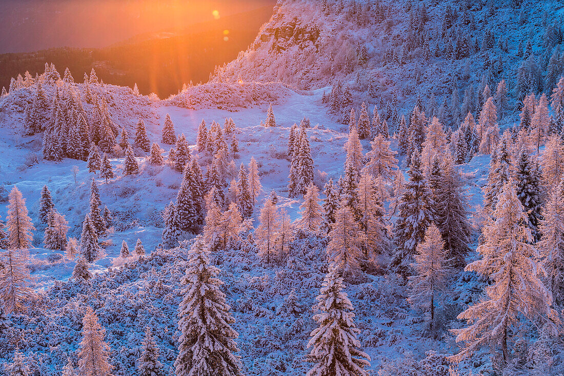 Sonnenaufgang und erster Schnee auf Bäumen in Valbona, Venetien, Italien