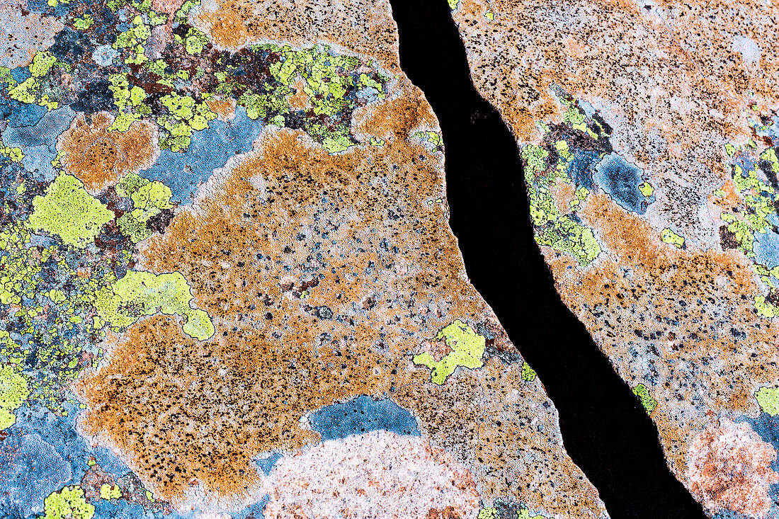 A crack between rocks covered by lichens at Santa Margherita hill, Veneto, Italy