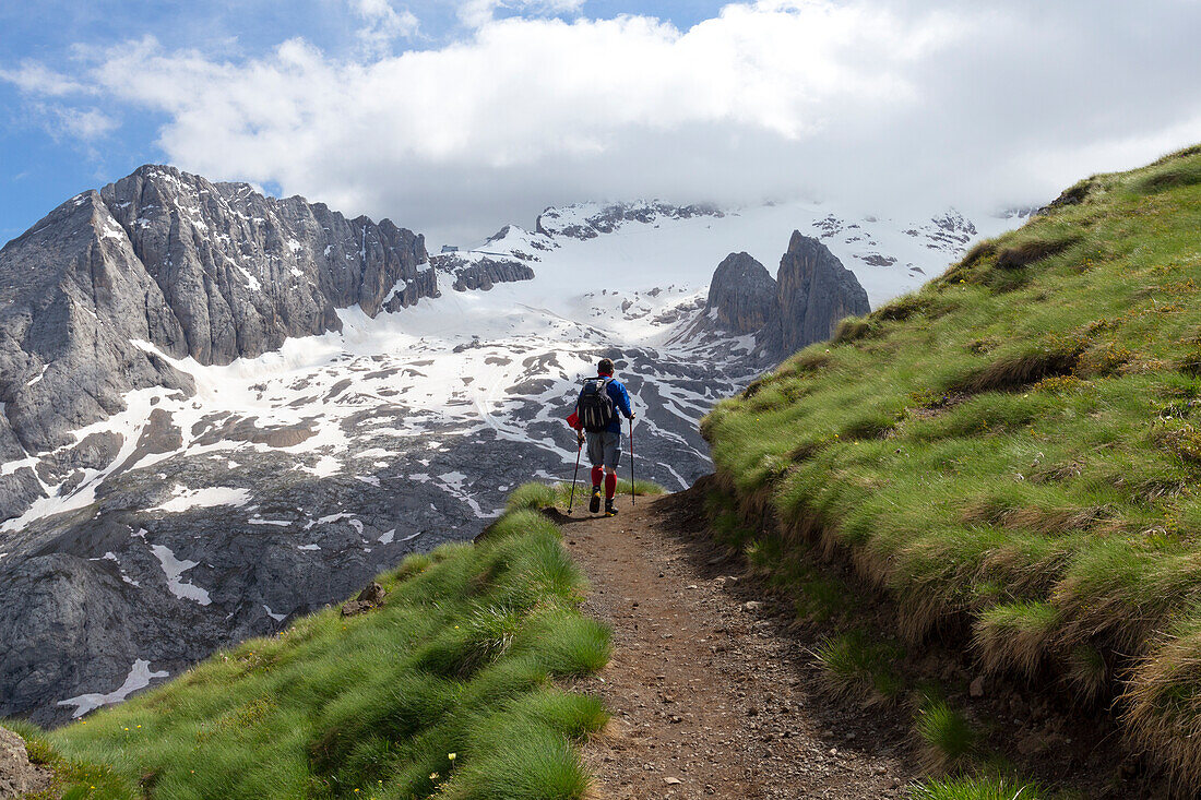 A hiker along Viel del Pan Trail with Marmolada on the background, Padon Group, Dolomites, Fassa Valley, Trento Province, Trentino-Alto Adige, Italy.