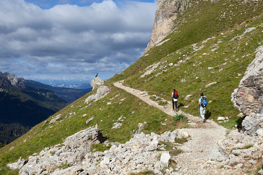 Two hikers on Masarè path towards Christomannos monument, Dolomites, Catinaccio Group, Fassa Valley, Trento province, Trentino-Alto Adige, Italy