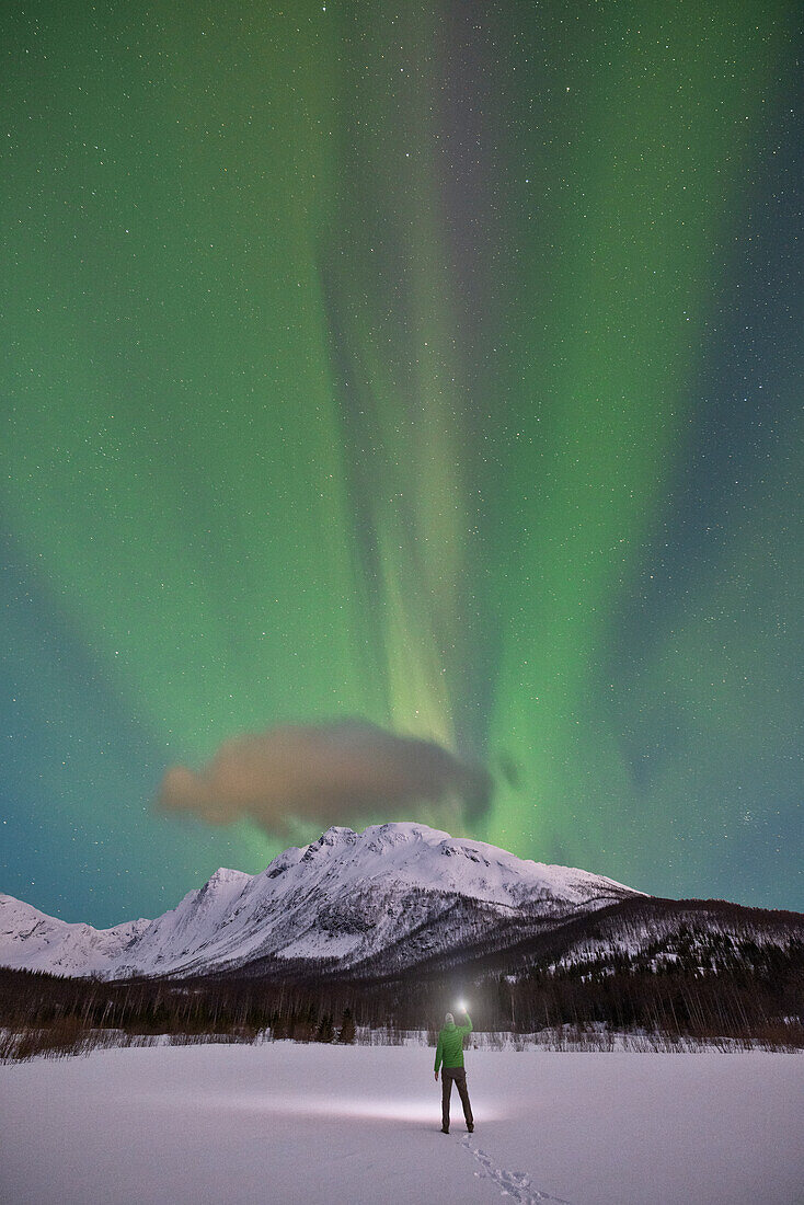 eine Person genießt das Spektakel der Nordlichter in einer kalten Winternacht, Troms, Norwegen, Europa