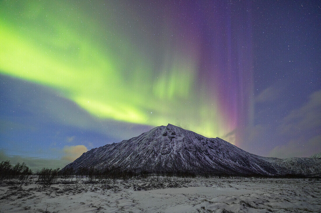 das Nordlicht über den Gipfeln nahe dem Gryllefjord, Senja, Norwegen, Europa