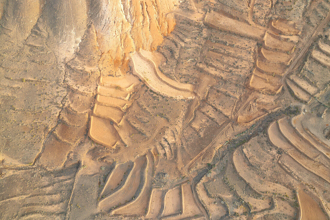 aerial vertical view taken by drone of the terrain terrace during a summer day, Fuerteventura, Canary Island, Spain, Europe