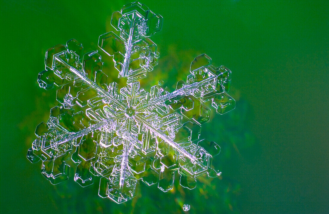 Einzelne Schneeflocken sind schwer zu fotografieren, da sie schnell schmelzen, es sei denn, es ist extrem kalt. Ihre zarten Kristallformen bilden in der Regel ein sechseckiges Muster, und keine zwei Schneeflocken sind jemals identisch oder gleich.