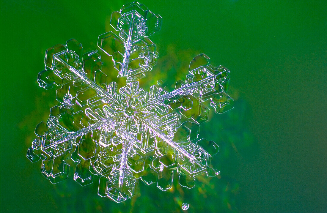 Individual snowflakes are difficult to photograph because they melt quickly unless it is extremely cold. Their delicate crystal shapes usually form a hexagon pattern and no two snowflakes are ever identical or alike.