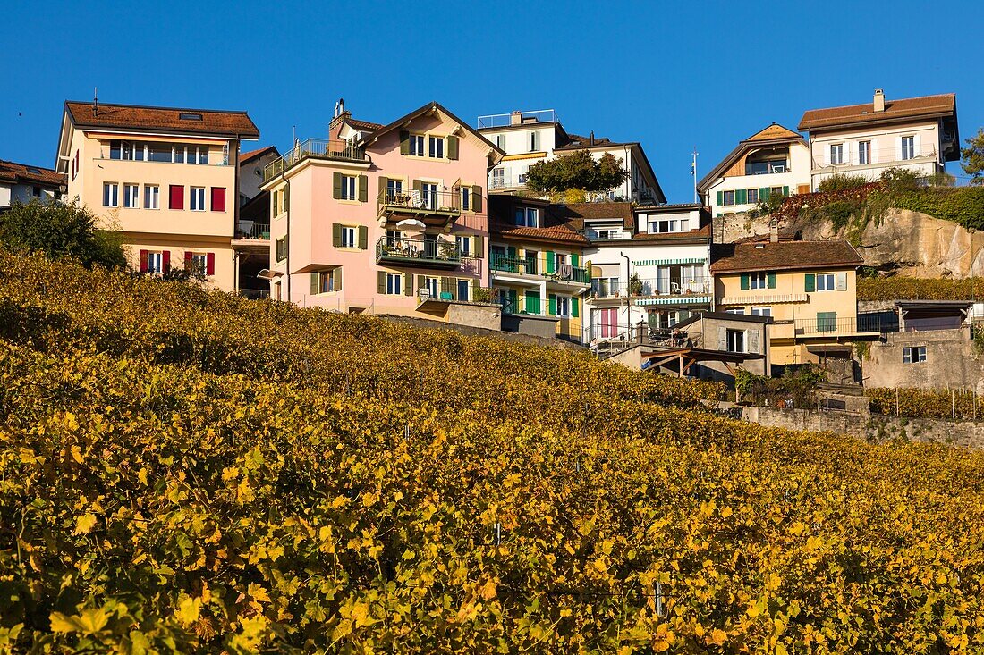 Blick auf die Weinberge und das Dorf Chexbres, Weinbauregion auf der Liste des Unesco-Welterbes seit 2007, Wein, Lavaux, Kanton Waadt, Schweiz
