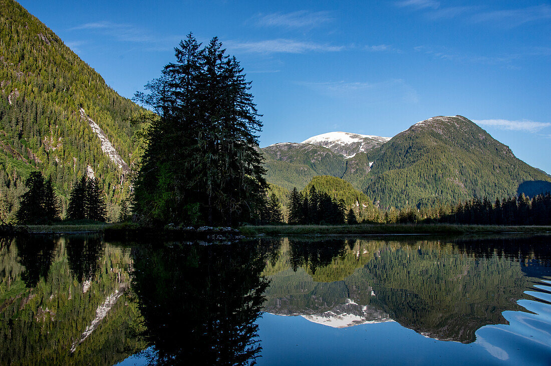 Spiegelbildliche Reflexion im Kutze Inlet an der Westküste von British Columbia, Kanada.