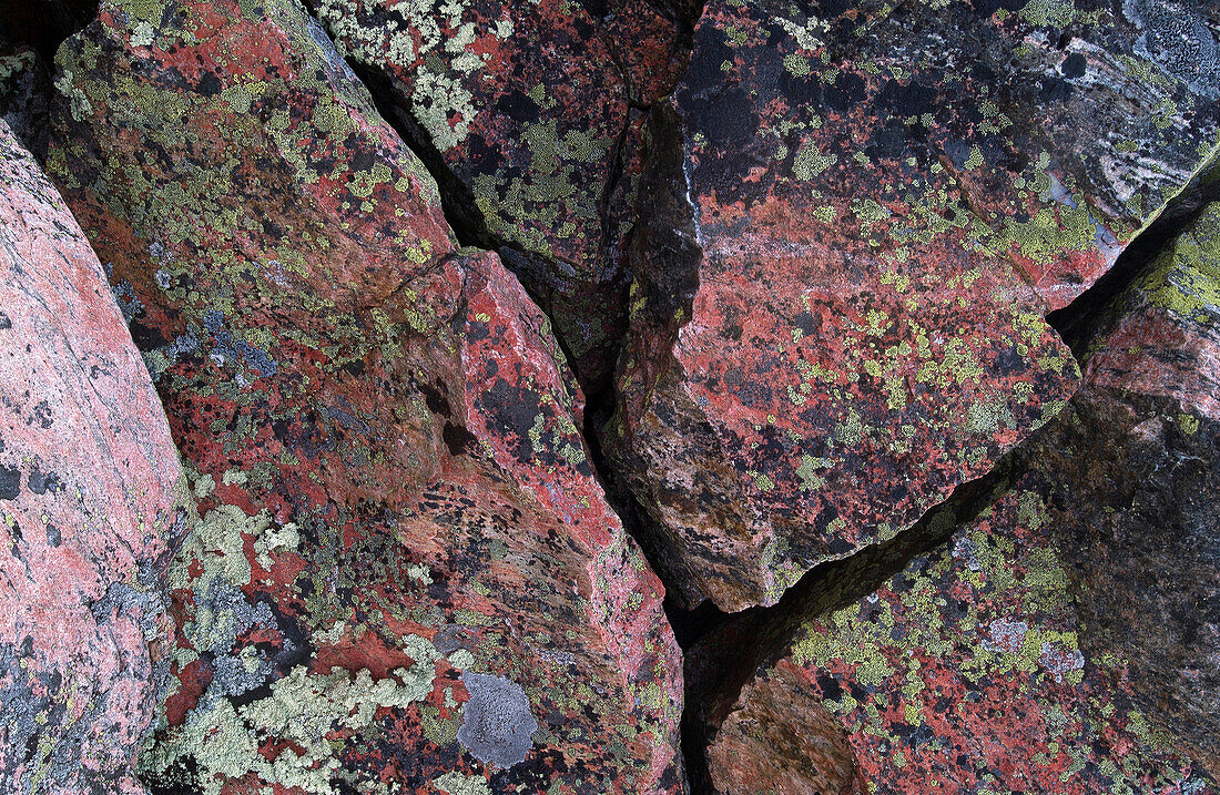 Colourful pattern abstract on rocks.