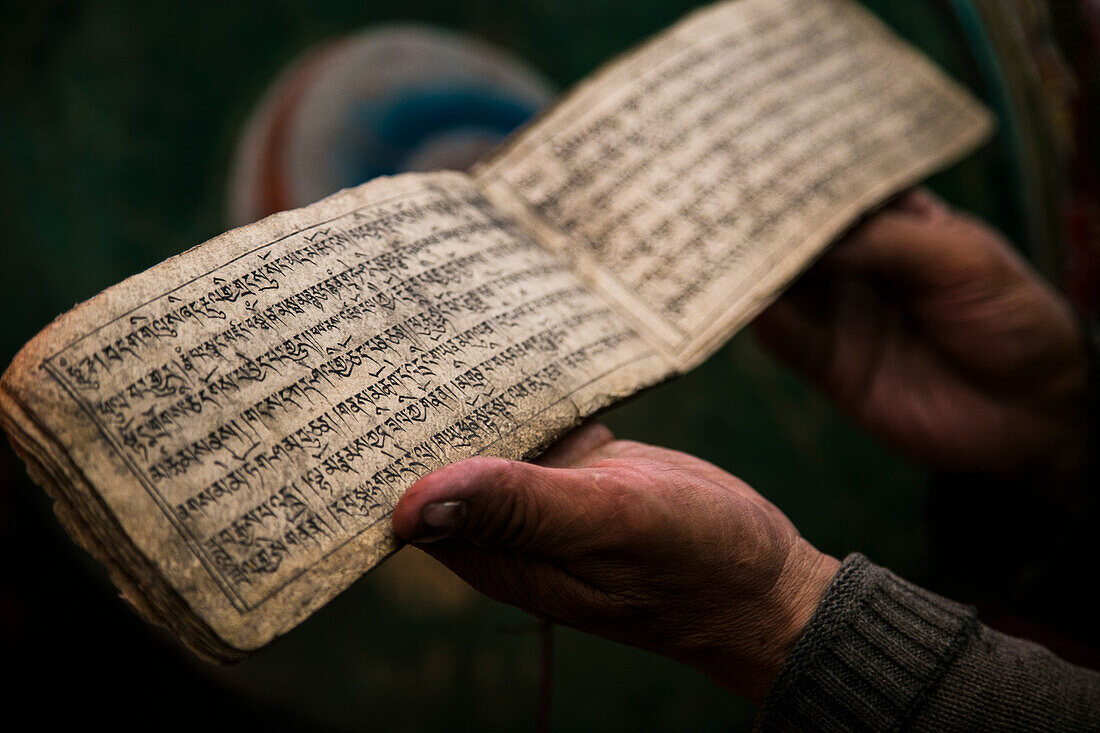 Ein Gebet für die Braut bei einer tibetischen Hochzeit im Zanskar-Tal, Nordindien.