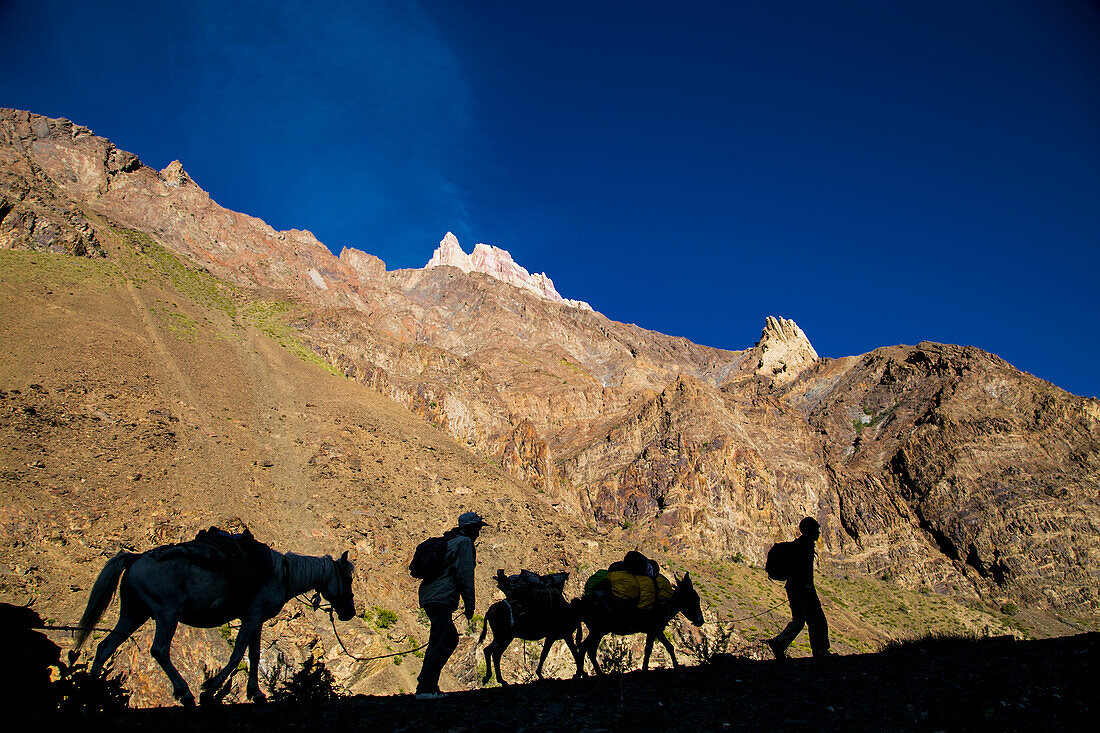 Wanderer mit Pferden auf einem Trekking im Zanskar-Tal.