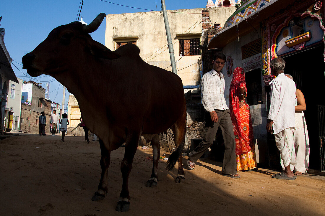 People on the streets in Pushkar