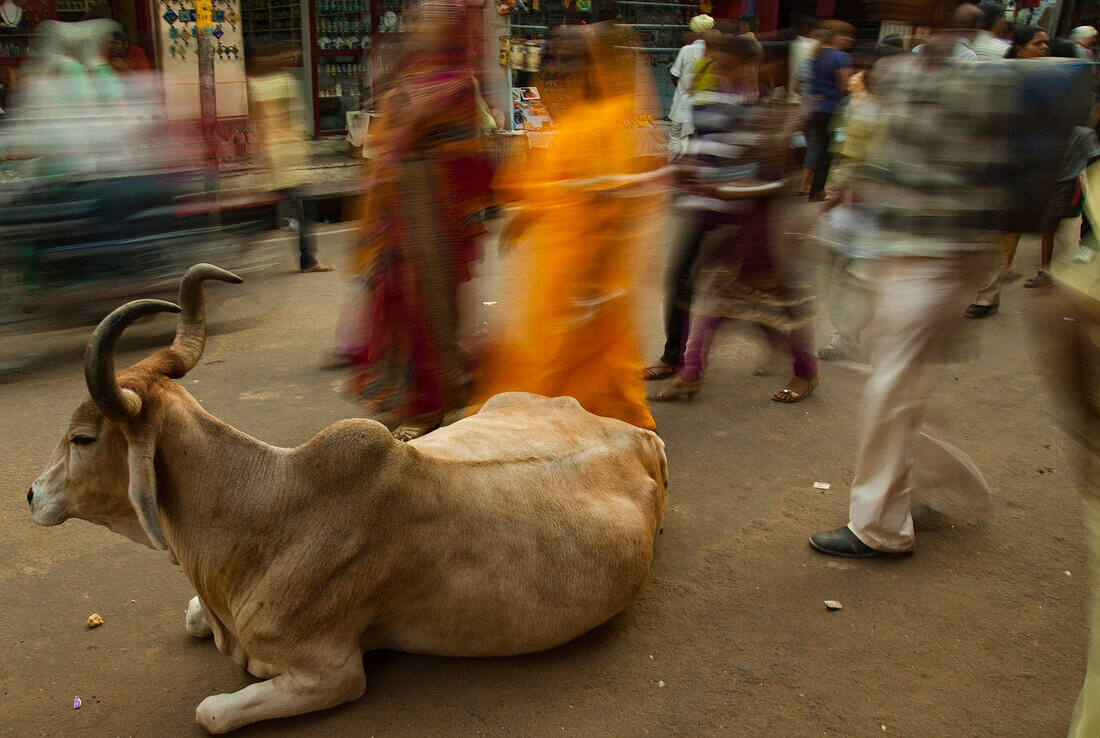 Menschen auf den Straßen von Pushkar