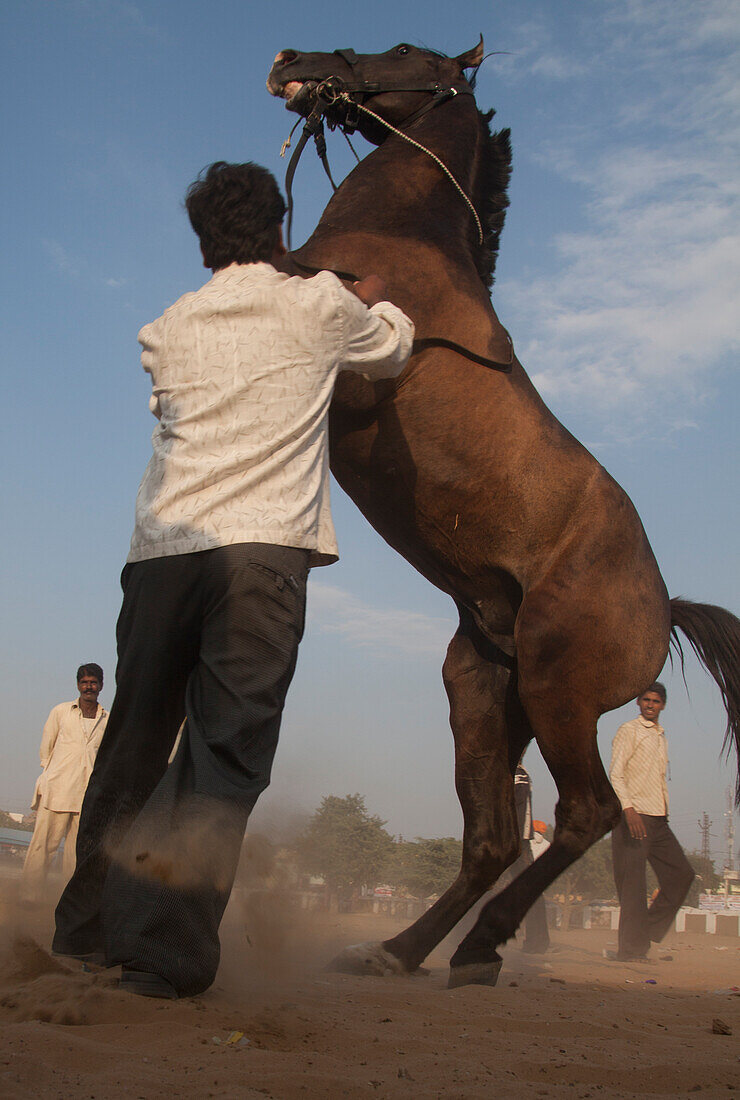Auf dem Gelände des Kamelmarktes in Pushkar
